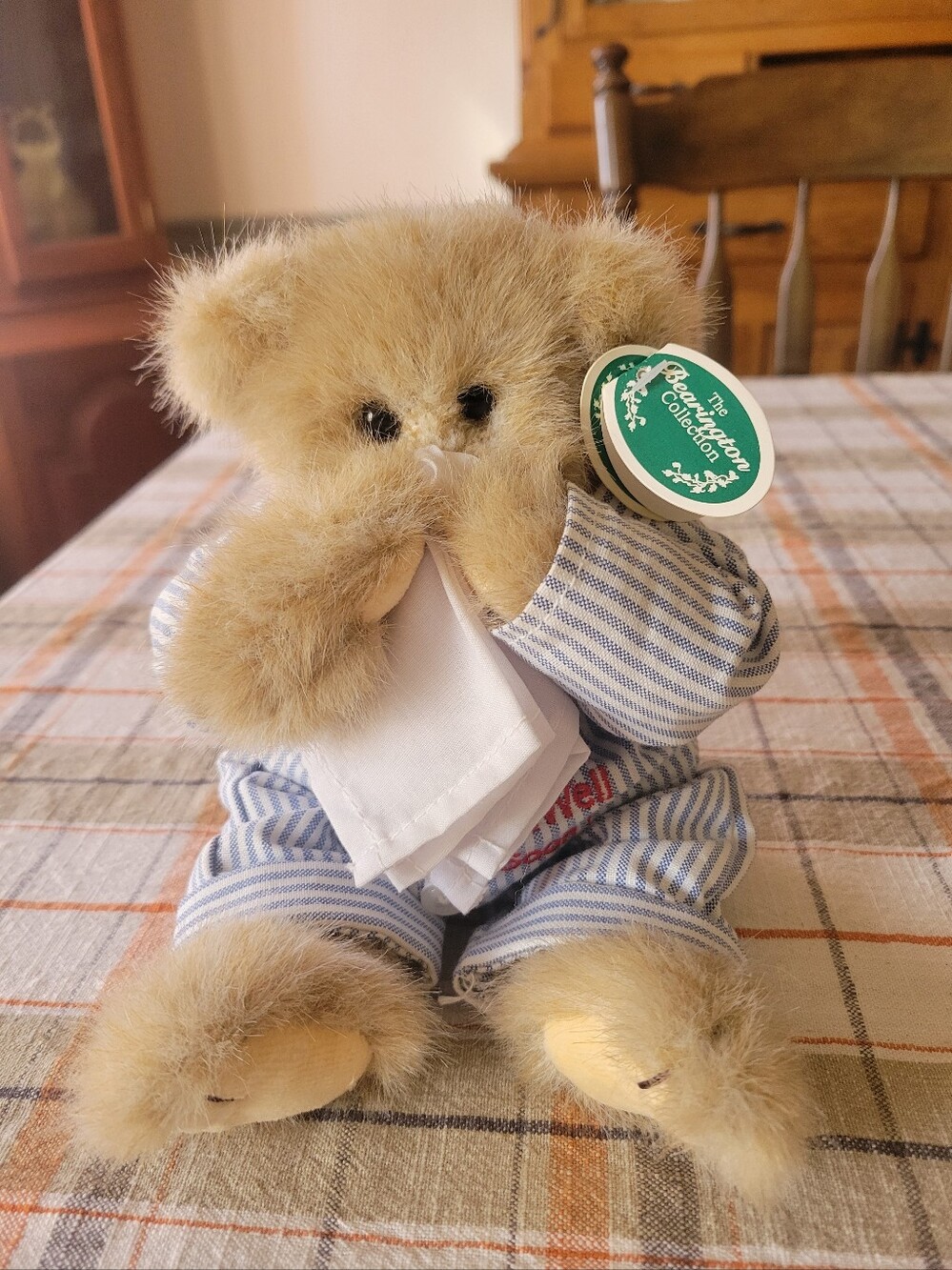 Vintage "The Bearington Collection" Illie Willie Get Well Soon Plush Bear